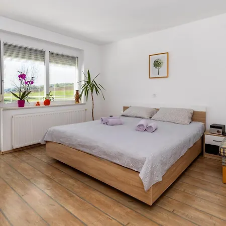 Apartma In Wellness Dalija - Prenocisce Za Dve Osebi Ubytování v soukromí *